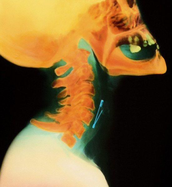 Day-Ruining Moments (15)