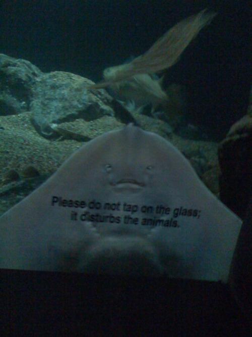 Funny Pic Dump (9)