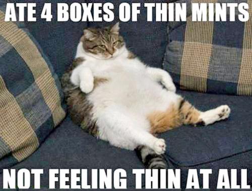 Funny Pic Dump (10)