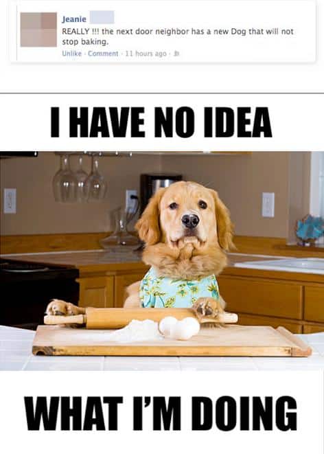 Funny Pic Dump (11)