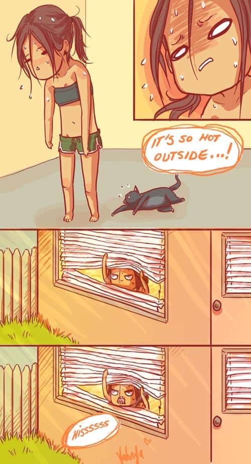 Funny Pic Dump (18)
