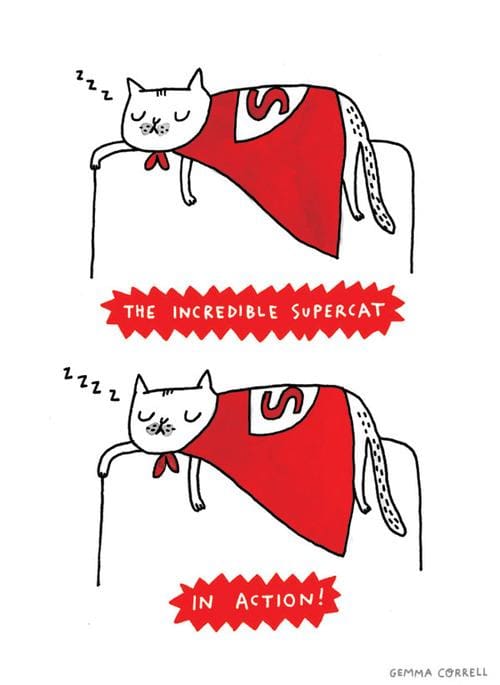 Funny Pic Dump (17)