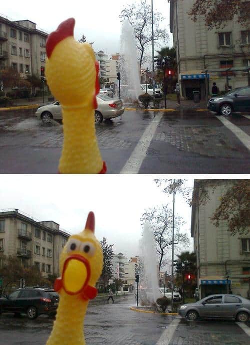 Funny Pic Dump (15)