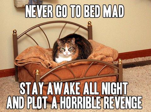 Funny Pic Dump (14)