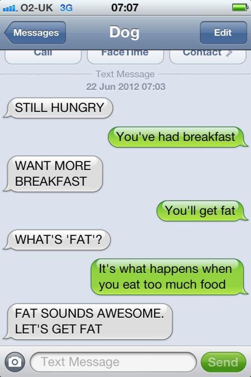 Funny Pic Dump (17)