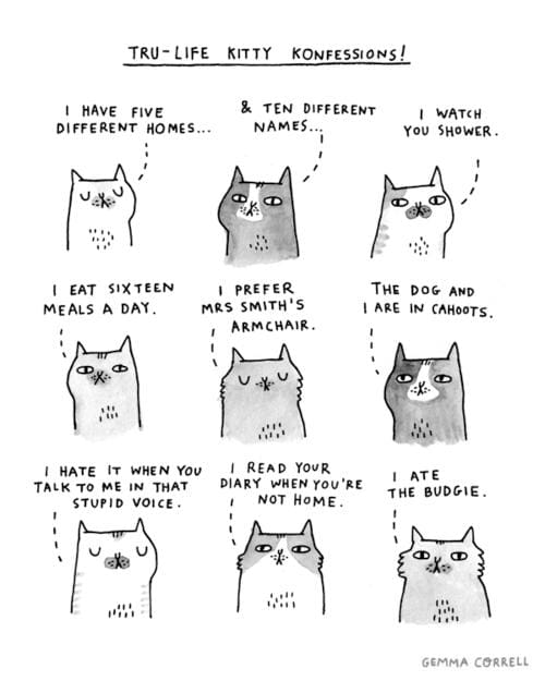 Funny Pic Dump (19)