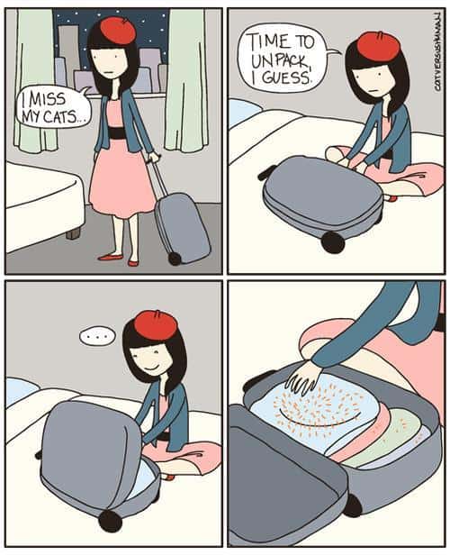 Funny Pic Dump (2)