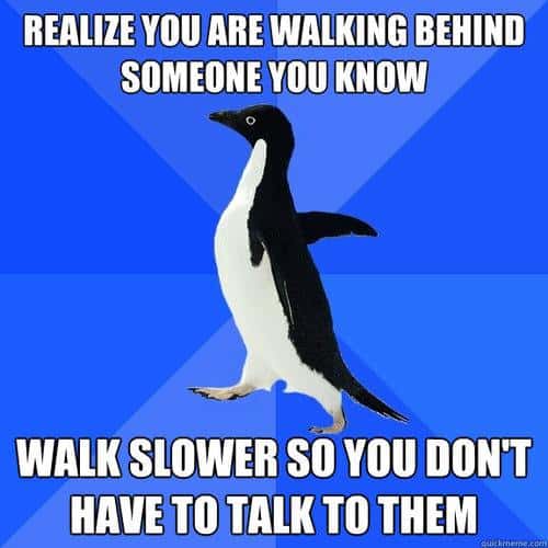 Funny Pic Dump (6)