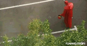 Awesome Animated GIFs (3)