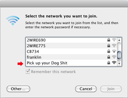 Funny Wi-Fi Network (7)