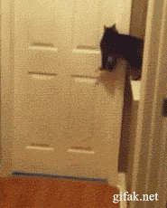 Awesome Animated GIFs (15)