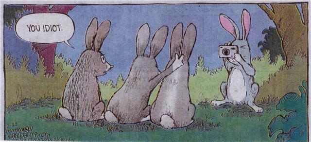 Funny Pic Dump (13)