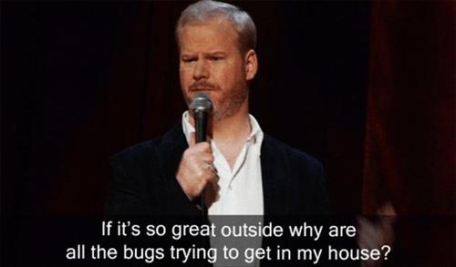 Funny Pic Dump (6)