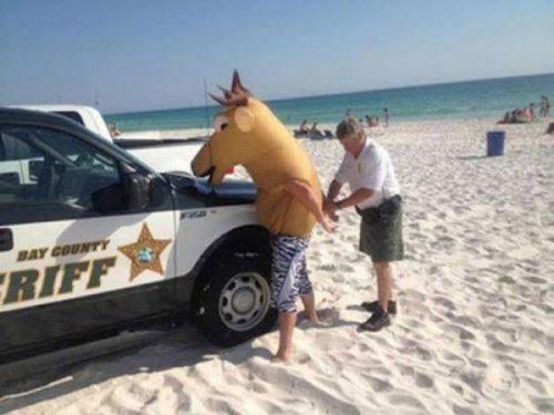 Funny Pic Dump (4)