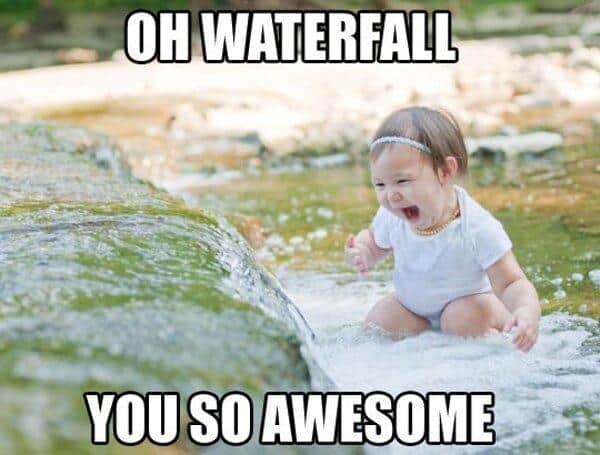 Funny Pic Dump (9)