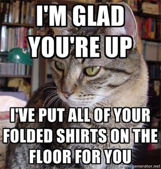 Funny Pic Dump (6)