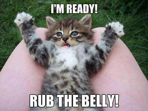 Funny Pic Dump (8)