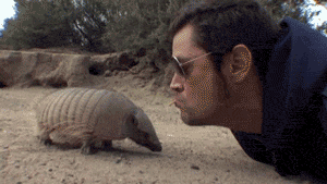 Awesome Animated GIFs (18)