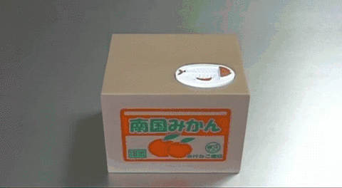 Fun Products You Never Knew You Needed (22)