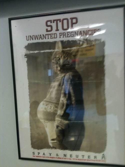 Funny Pic Dump (13)