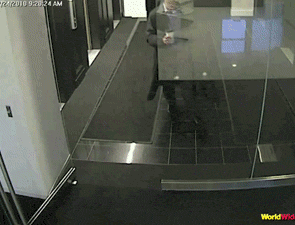 Awesome Animated GIFs (5) Awesome Animated GIFs (5)