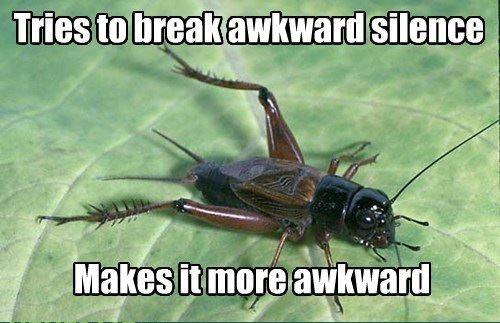 Funny Pic Dump (3)