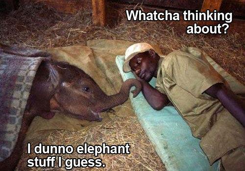 Funny Pic Dump (8)