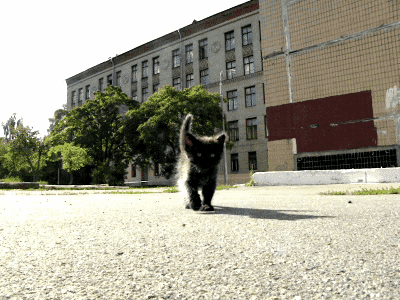 Awesome Animated GIFs (5)