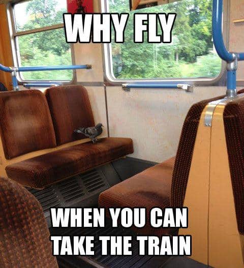 Funny Pic Dump (10)