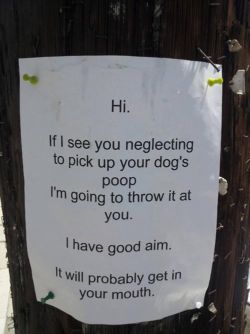 Funny Pic Dump (12)