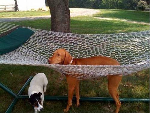 Funny Pic Dump (13)