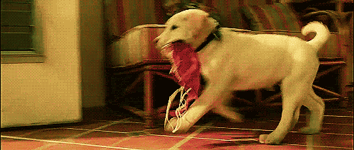 Awesome Animated GIFs (17)