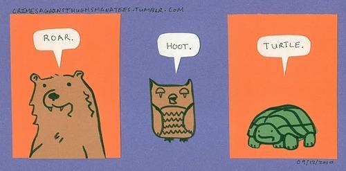 Funny Pic Dump (17)