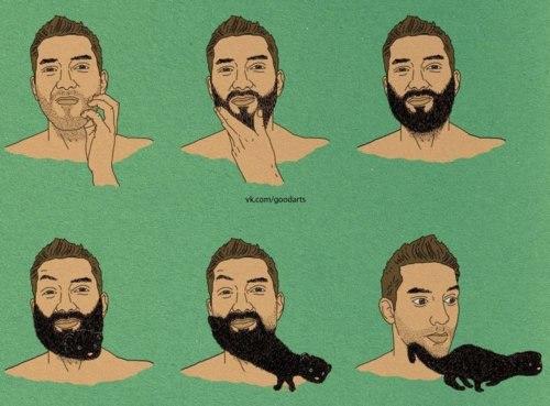 Funny Pic Dump (17)