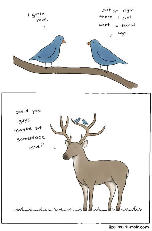 Funny Pic Dump (18)