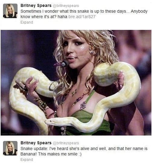 Funny Pic Dump (20)