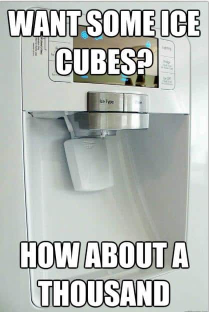 Funny Pic Dump (20)