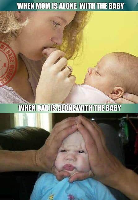 Funny Pic Dump (22)