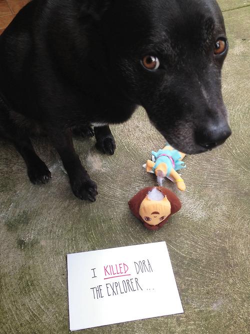 Funny Pic Dump (5)