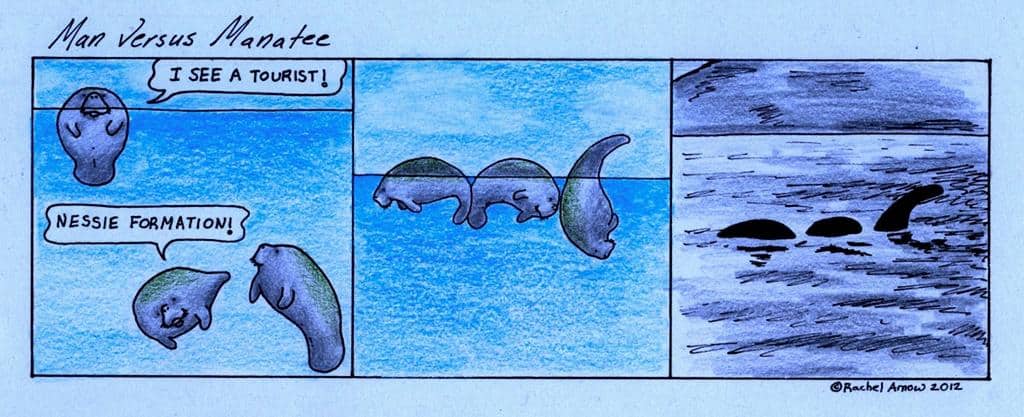 Funny Pic Dump (4)