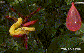 Awesome Animated GIFs (11)