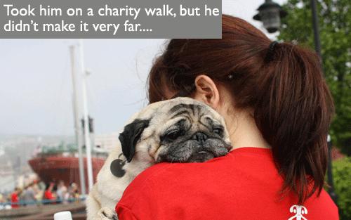 Funny Pic Dump (3)