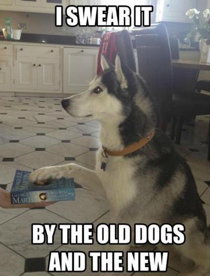 Funny Pic Dump (2)
