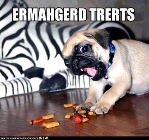 LOL Animals (16)