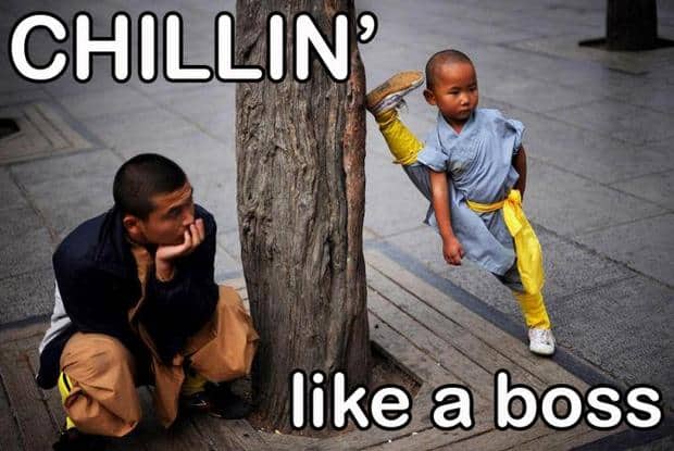 Funny Pic Dump (15)