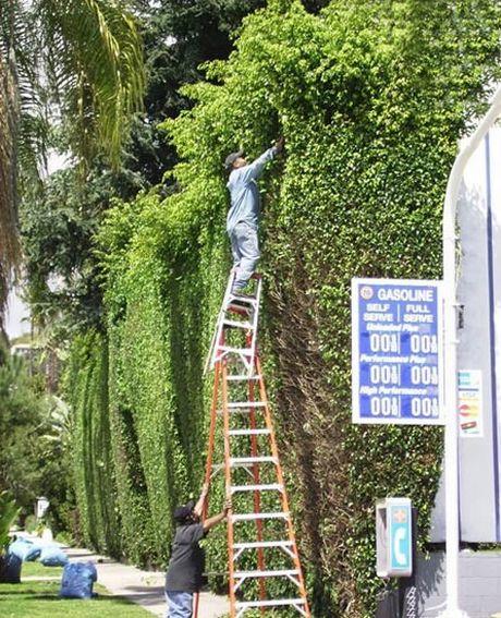Don't Know the Meaning of Safety First (16)