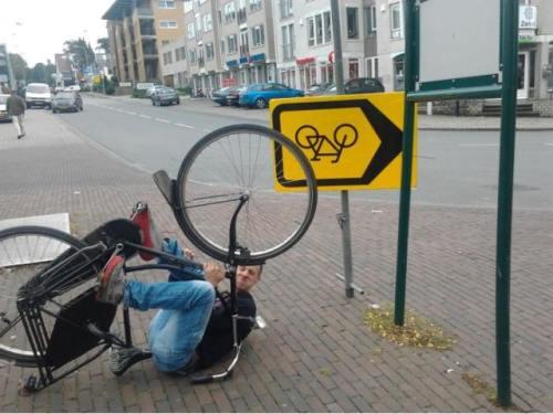 Funny Pic Dump (8)