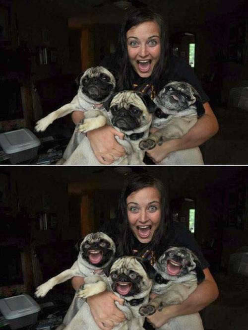 Funny Pic Dump (5)