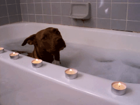 Awesome Animated GIFs (8)