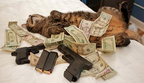 cashcats.jpg